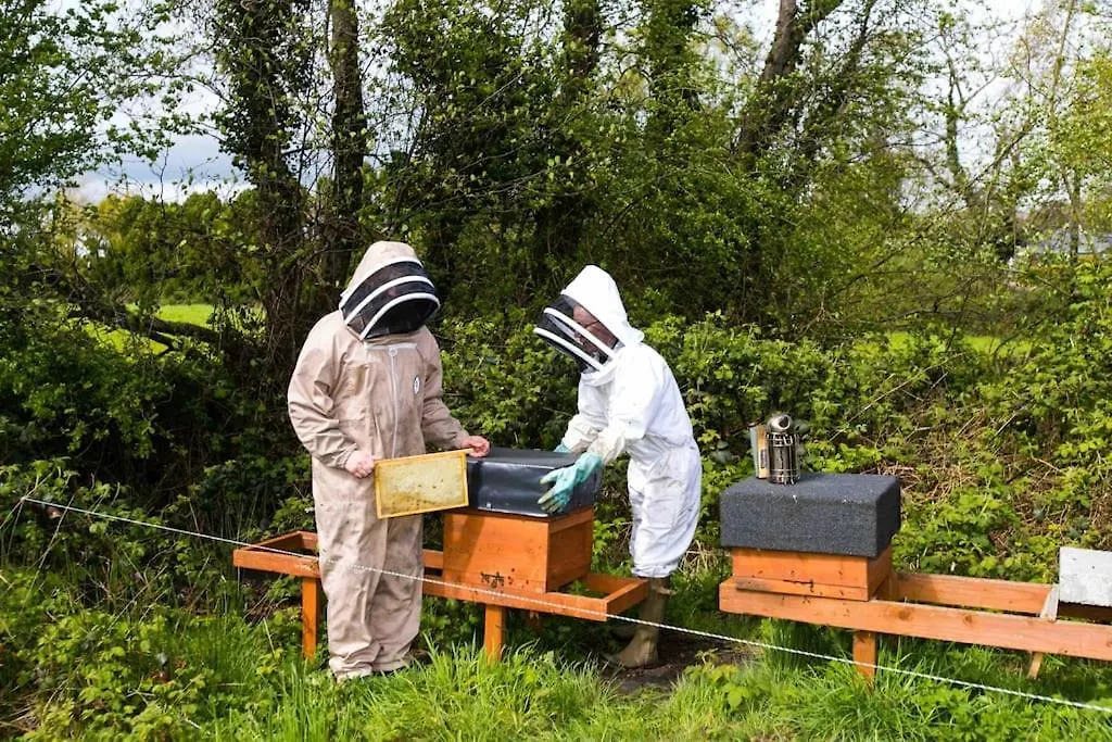 The Apiary Villa Cill Airne 0*,  Irland